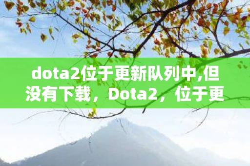 dota2位于更新队列中,但没有下载，Dota2，位于更新队列中的那些日子