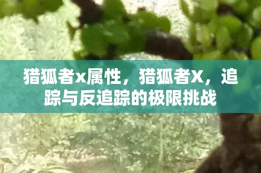 猎狐者x属性，猎狐者X，追踪与反追踪的极限挑战