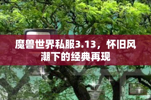 魔兽世界私服3.13，怀旧风潮下的经典再现