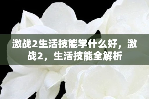 激战2生活技能学什么好，激战2，生活技能全解析