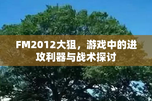 游戏中的进攻利器与战术探讨图片