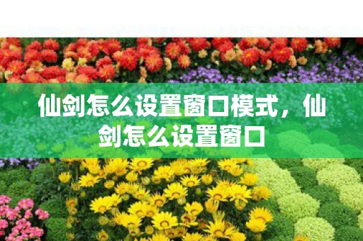 仙剑怎么设置窗口模式，仙剑怎么设置窗口