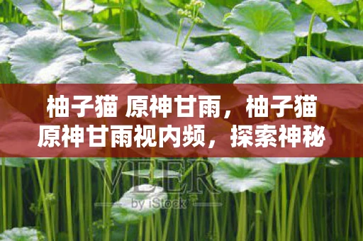 柚子猫 原神甘雨，柚子猫原神甘雨视内频，探索神秘世界的奇妙之旅