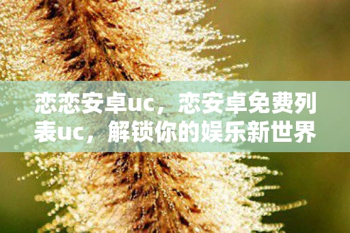 恋恋安卓uc，恋安卓免费列表uc，解锁你的娱乐新世界