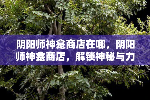 阴阳师神龛商店在哪，阴阳师神龛商店，解锁神秘与力量的门户