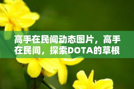 高手在民间动态图片，高手在民间，探索DOTA的草根英雄