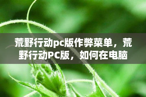 荒野行动pc版作弊菜单，荒野行动PC版，如何在电脑上玩转这款热门吃鸡游戏