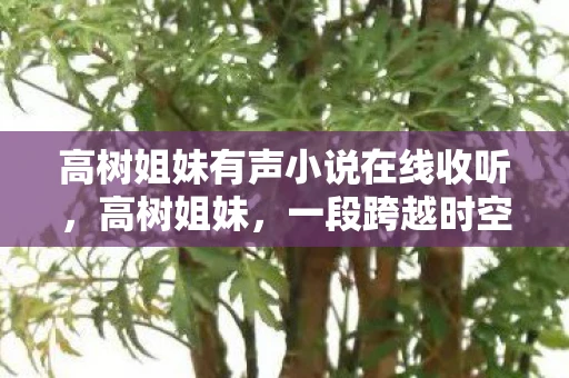 高树姐妹有声小说在线收听，高树姐妹，一段跨越时空的亲情故事