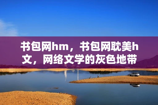 书包网hm，书包网耽美h文，网络文学的灰色地带