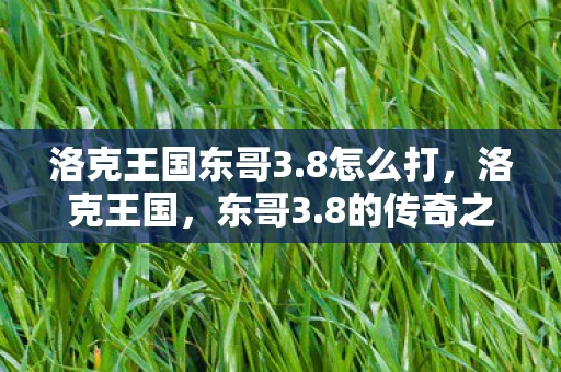 洛克王国东哥3.8怎么打，洛克王国，东哥3.8的传奇之旅