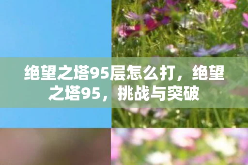 绝望之塔95层怎么打，绝望之塔95，挑战与突破
