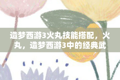 造梦西游3火丸技能搭配，火丸，造梦西游3中的经典武器
