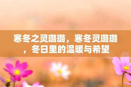 寒冬之灵璐璐，寒冬灵璐璐，冬日里的温暖与希望