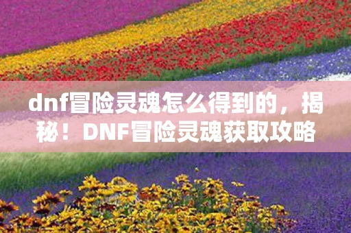 dnf冒险灵魂怎么得到的，揭秘！DNF冒险灵魂获取攻略，解锁无限可能的神秘钥匙