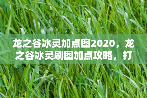 龙之谷冰灵加点图2020，龙之谷冰灵刷图加点攻略，打造高效冰系法师