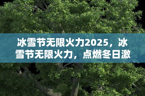 冰雪节无限火力2025，冰雪节无限火力，点燃冬日激情的盛宴