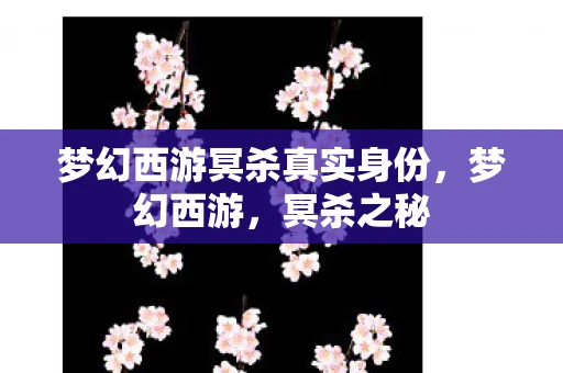 梦幻西游冥杀真实身份，梦幻西游，冥杀之秘