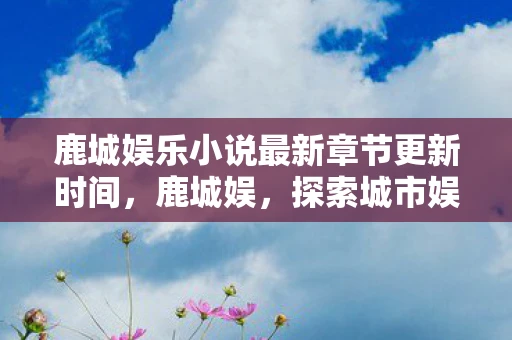 鹿城娱乐小说最新章节更新时间，鹿城娱，探索城市娱乐新风尚