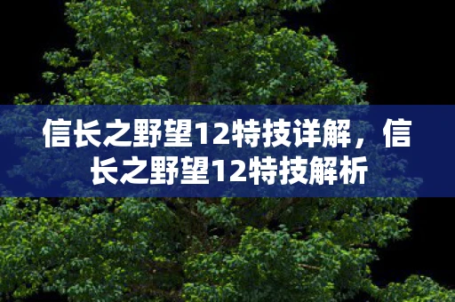 信长之野望12特技详解，信长之野望12特技解析