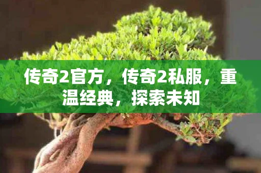 传奇2官方，传奇2私服，重温经典，探索未知