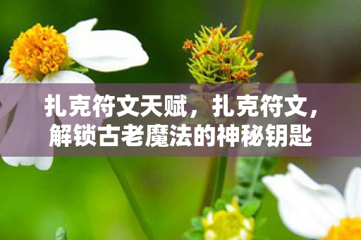 扎克符文天赋，扎克符文，解锁古老魔法的神秘钥匙