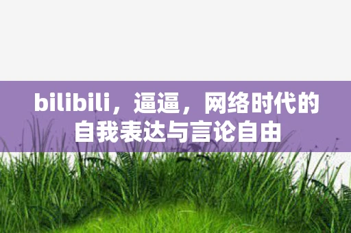 bilibili，逼逼，网络时代的自我表达与言论自由