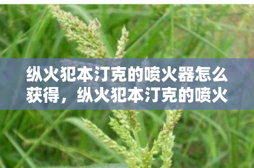 纵火犯本汀克的喷火器怎么获得，纵火犯本汀克的喷火器，历史与技术的双重探索