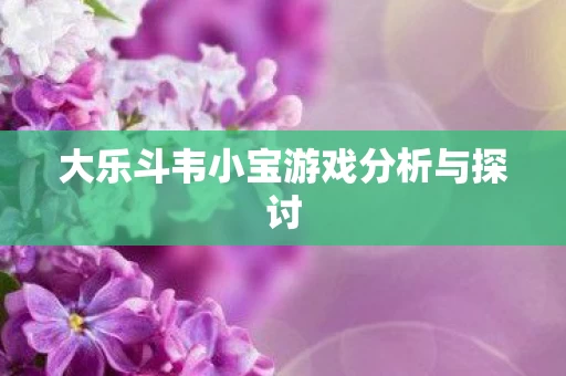 大乐斗韦小宝游戏分析与探讨图片