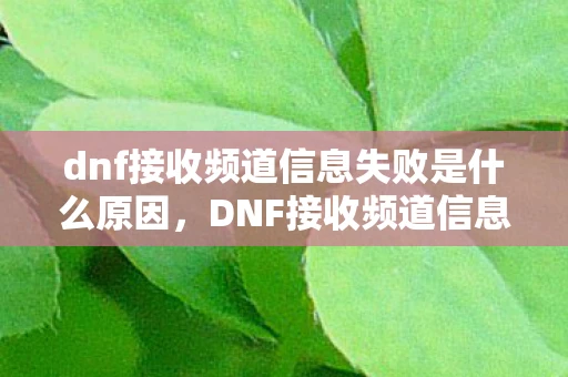 dnf接收频道信息失败是什么原因，DNF接收频道信息失败，问题解析与解决方案