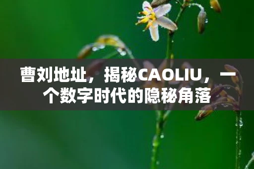 曹刘地址，揭秘CAOLIU，一个数字时代的隐秘角落