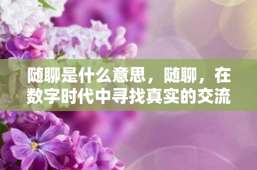随聊是什么意思，随聊，在数字时代中寻找真实的交流