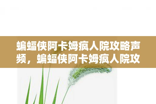 蝙蝠侠阿卡姆疯人院攻略声频，蝙蝠侠阿卡姆疯人院攻略，黑暗骑士的终极挑战