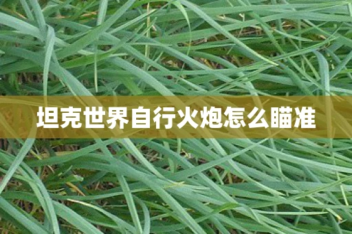 坦克世界自行火炮怎么瞄准