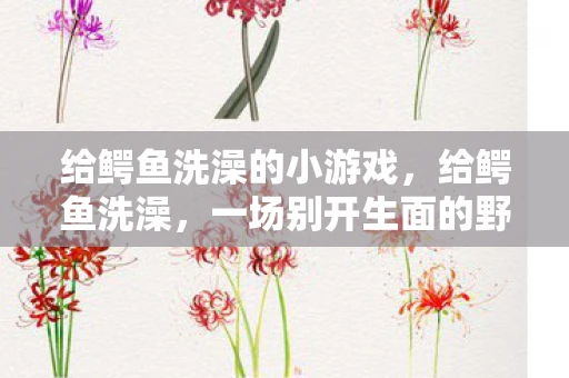 给鳄鱼洗澡的小游戏，给鳄鱼洗澡，一场别开生面的野生动物护理挑战