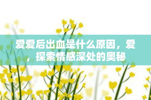 爱爱后出血是什么原因，爱，探索情感深处的奥秘