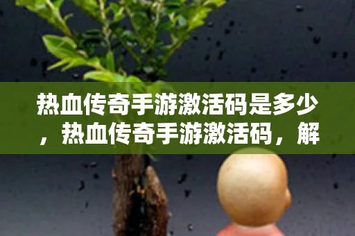 热血传奇手游激活码是多少，热血传奇手游激活码，解锁传奇之旅的钥匙