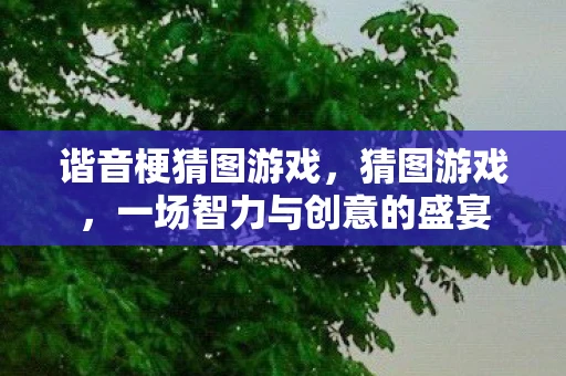 谐音梗猜图游戏，猜图游戏，一场智力与创意的盛宴
