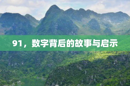 91，数字背后的故事与启示