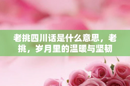 老挑四川话是什么意思，老挑，岁月里的温暖与坚韧