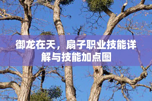 扇子职业技能详解与技能加点图图片