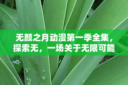 无颜之月动漫第一季全集，探索无，一场关于无限可能的精神之旅