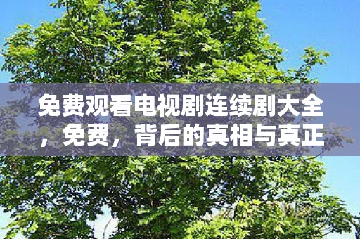 免费观看电视剧连续剧大全，免费，背后的真相与真正的价值