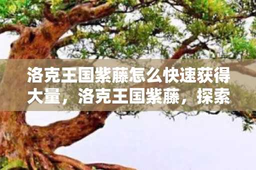 洛克王国紫藤怎么快速获得大量，洛克王国紫藤，探索神秘植物的奇幻之旅