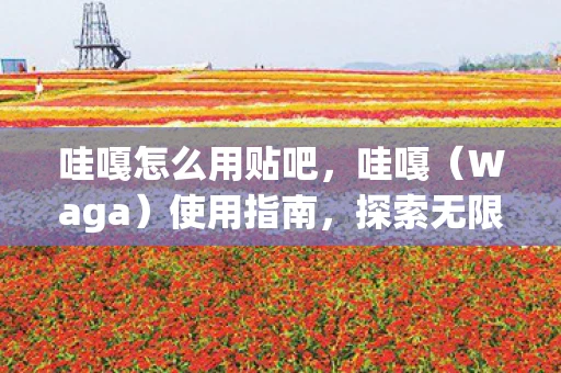 哇嘎怎么用贴吧，哇嘎（Waga）使用指南，探索无限娱乐的奇妙之旅