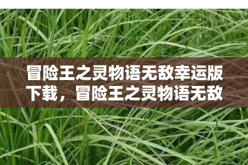 冒险王之灵物语无敌幸运版下载，冒险王之灵物语无敌幸运版，解锁无限可能的奇幻之旅