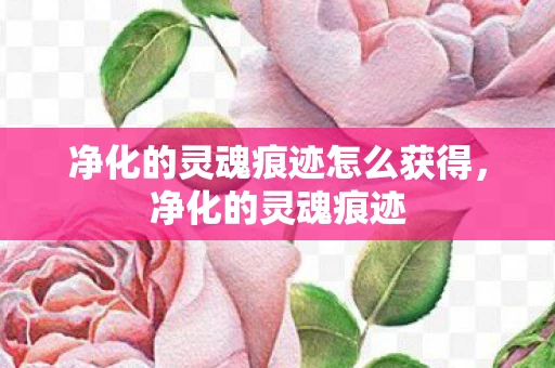 净化的灵魂痕迹怎么获得，净化的灵魂痕迹