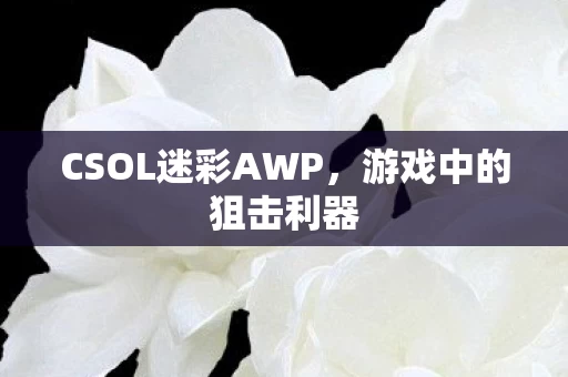CSOL迷彩AWP图片