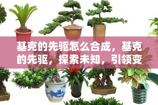 基克的先驱怎么合成，基克的先驱，探索未知，引领变革