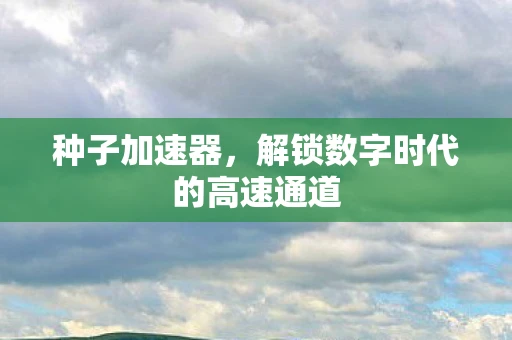 种子加速器，解锁数字时代的高速通道