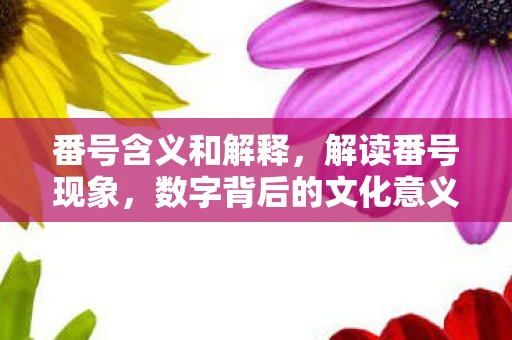 番号含义和解释，解读番号现象，数字背后的文化意义与伦理考量